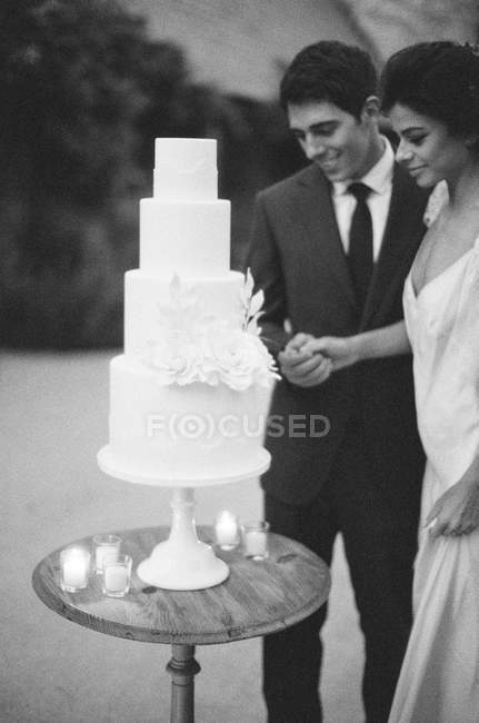 Sposo e sposa taglio torta nuziale — Foto stock