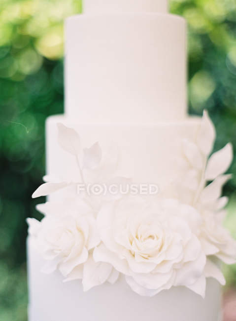 Свадебный торт украшен листьями — стоковое фото