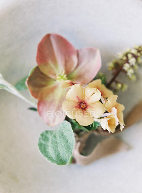 Boutonniere de boda con flores y hojas - foto de stock