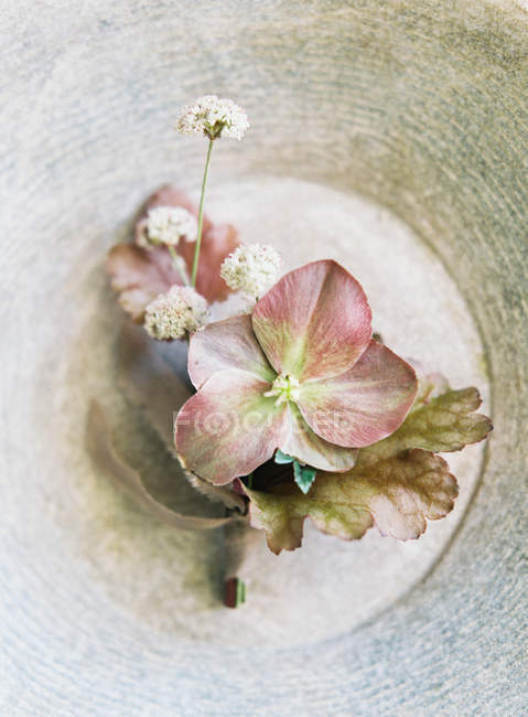 Eleganti fiori nuziali — Foto stock