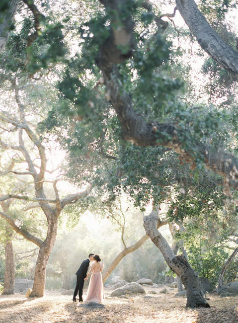 Newlywed couple kissing in tree grove — Stock Photo