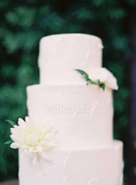 Magnifique gâteau de mariage — Photo de stock