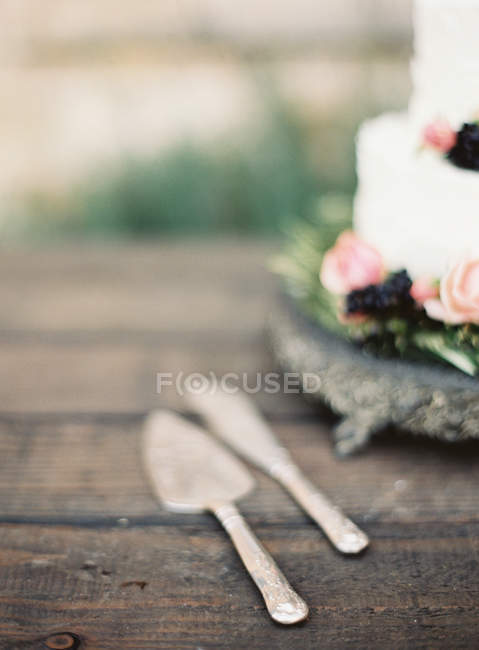 Bolo de casamento bonito — Fotografia de Stock