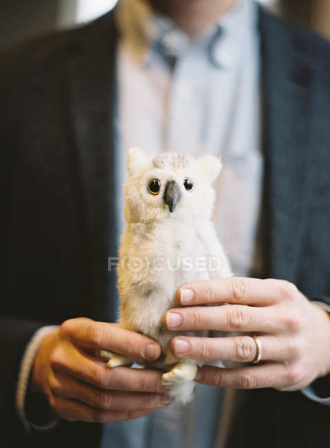 Man holding owl soft toy — Stock Photo