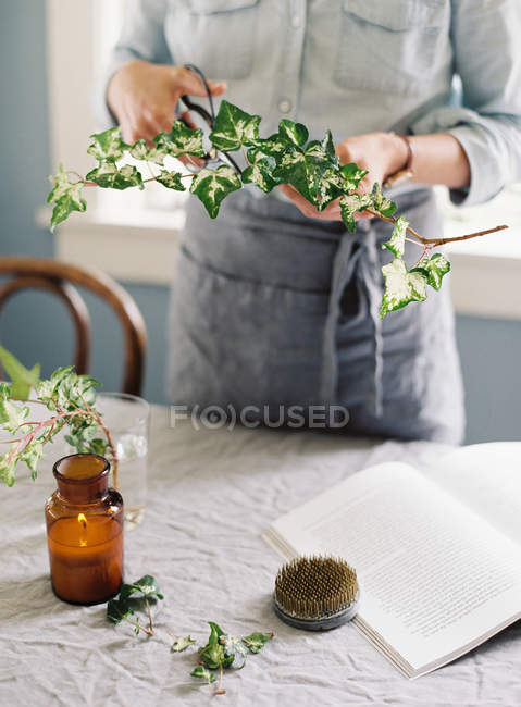 Woman cutting ivy branch — Stock Photo