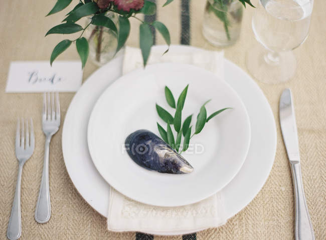 Assiette décorée avec coquille de moule — Photo de stock
