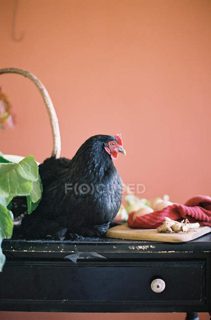 Gallina en la mesa con verduras de granja - foto de stock