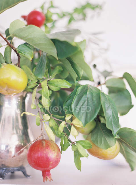 Arreglo floral con frutas frescas - foto de stock