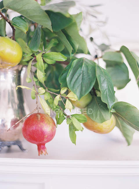 Floral arrangement with fresh fruits — Stock Photo