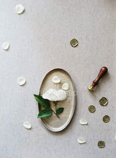 Fleur coupée sur cadre métallique — Photo de stock