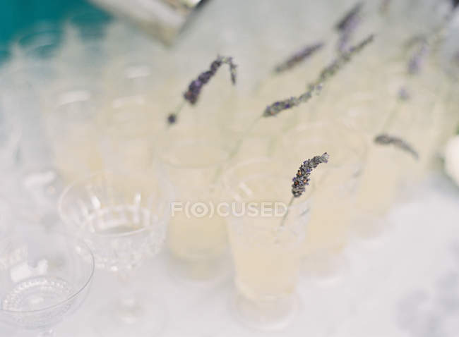 Homemade lemonade with lavender — Stock Photo
