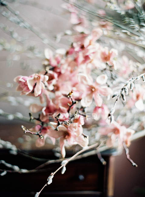 Frischer Blumenstrauß — Stockfoto