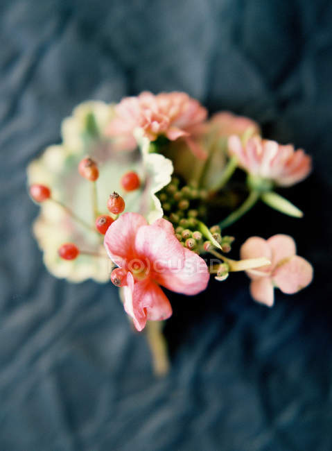 Beau petit bouquet aux baies — Photo de stock