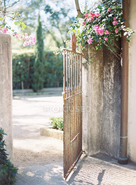 Portões de metal vintage com flores de rosa — Fotografia de Stock