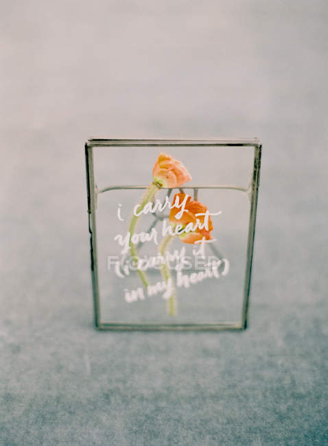 Cadre en verre avec herbier et inscription romantique — Photo de stock