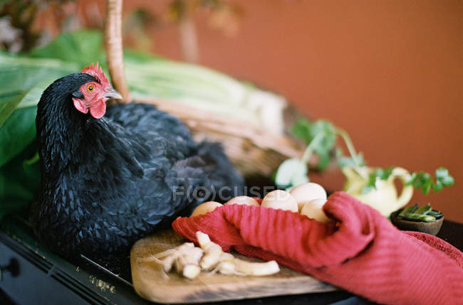 Henne auf dem Tisch mit Bauerngemüse — Stockfoto