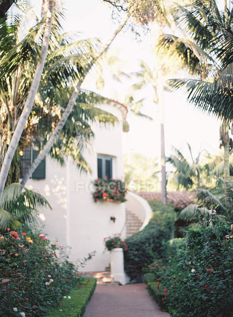 Villa en jardín tropical - foto de stock