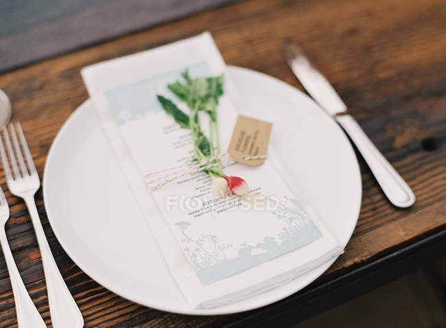 Plate decorated with herbs — Stock Photo