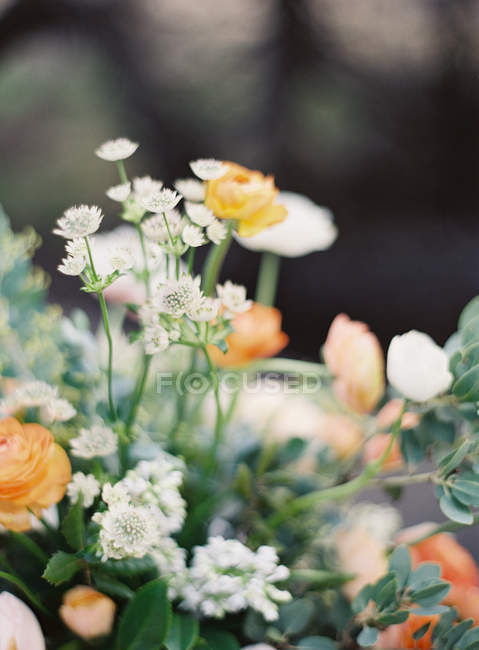 Schöner Blumenschmuck — Stockfoto
