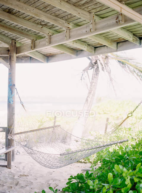 Hängematte unter Zelt und am Strand — Stockfoto