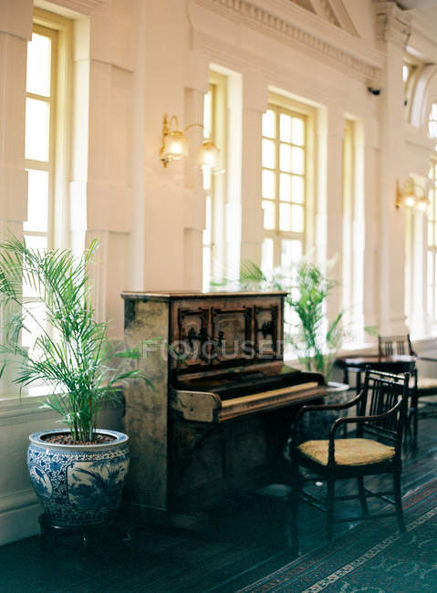 Деревенское фортепиано с пальмами в горшке — стоковое фото