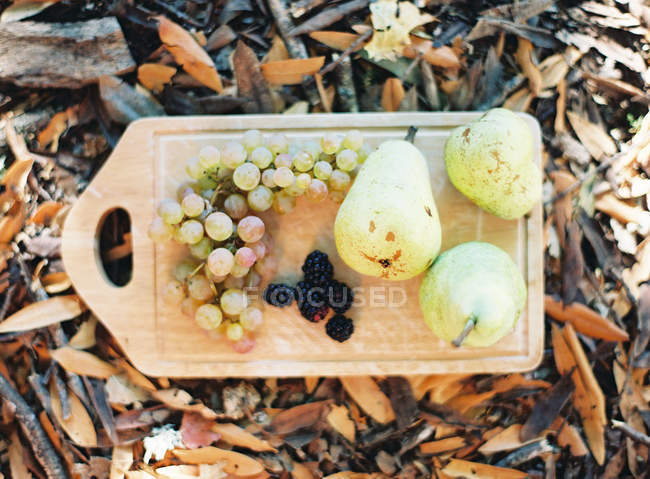 Peras, uvas y moras - foto de stock