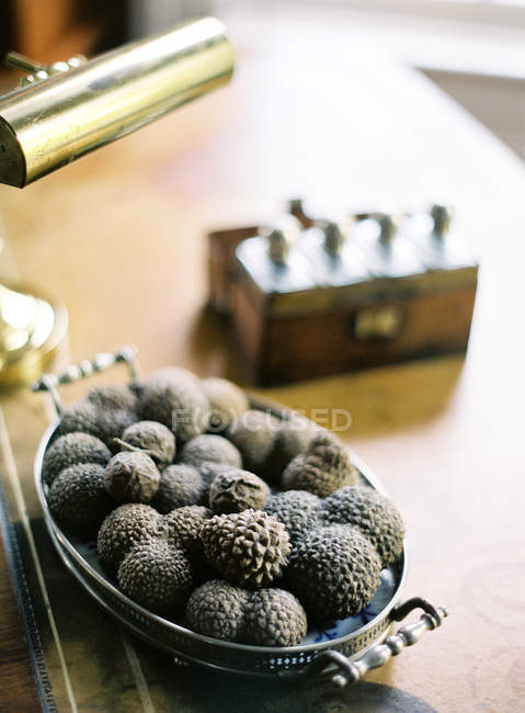 Cones de coníferas em prato antigo — Fotografia de Stock