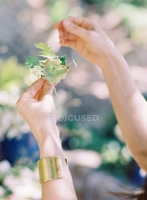 Mãos femininas segurando ervas cortadas frescas — Fotografia de Stock