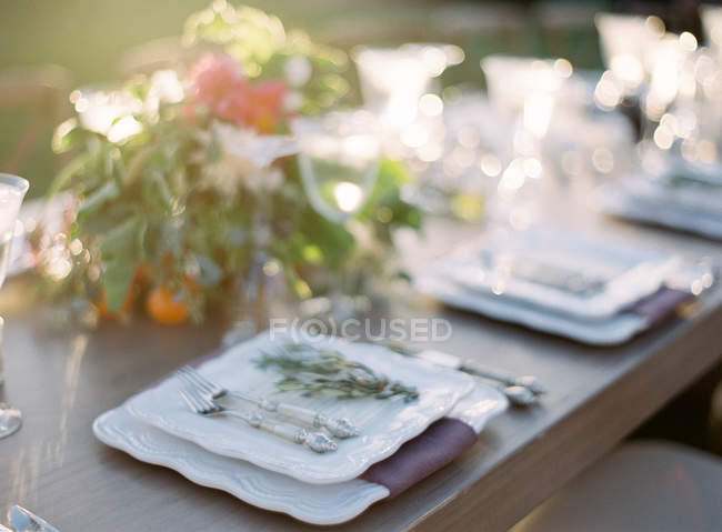 Plate decorated with rosemary — Stock Photo