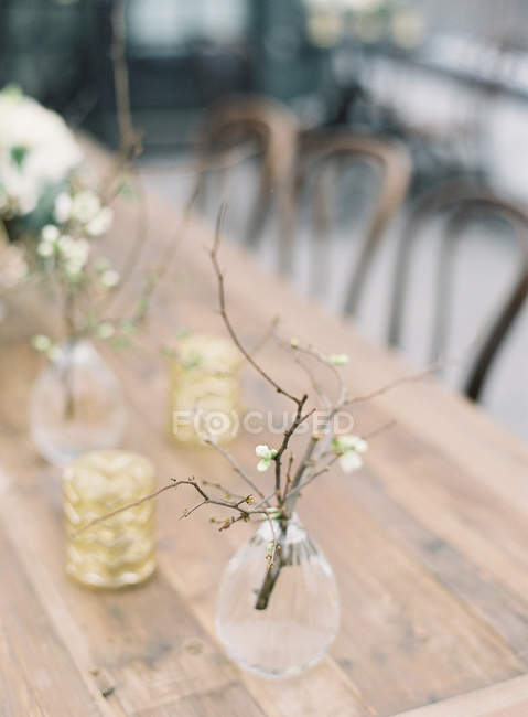 Ramo de damasco florescente em vaso — Fotografia de Stock