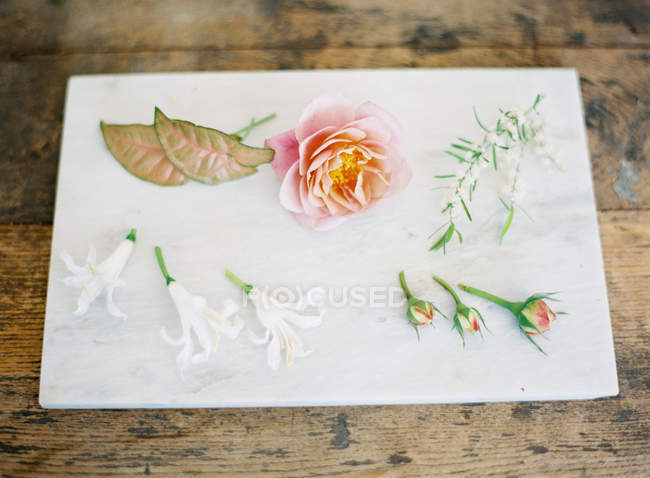 Flores frescas para hacer la tarjeta de boda - foto de stock