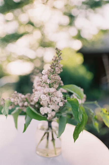 Frische rustikale Schnittblumen — Stockfoto