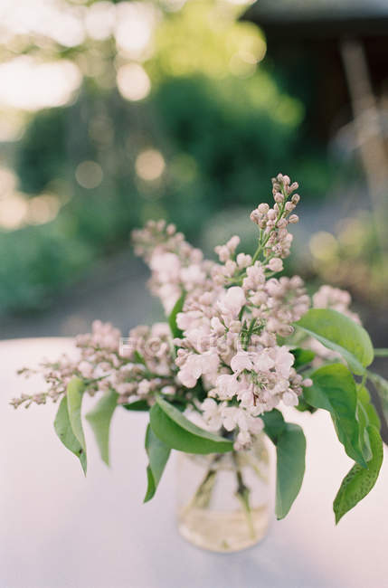 Fleurs rustiques fraîches coupées — Photo de stock