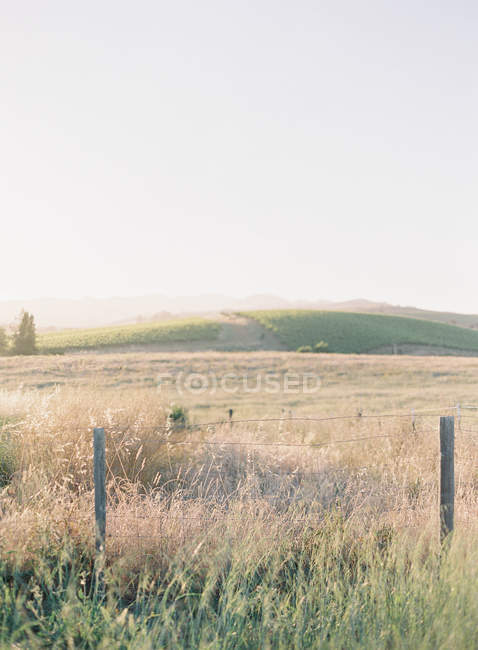 Fields and hills at daytime — Stock Photo