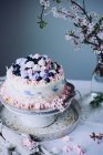 Decorative festive cake — Stock Photo