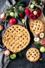 Tortas de maçã caseiras doces — Fotografia de Stock