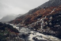Река в горах, покрытая туманом — стоковое фото