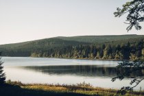 Озеро с лесом на берегу — стоковое фото