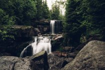 Cascata rocciosa nella foresta — Foto stock