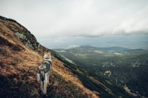 Laika standing on mountain top — Stock Photo