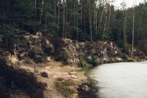 Lago con pini verdi sulle rive — Foto stock