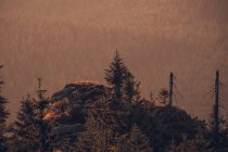 Pico de montanha com pinheiros — Fotografia de Stock