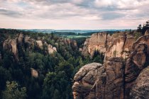 Felsige Berge mit Kiefernwald — Stockfoto