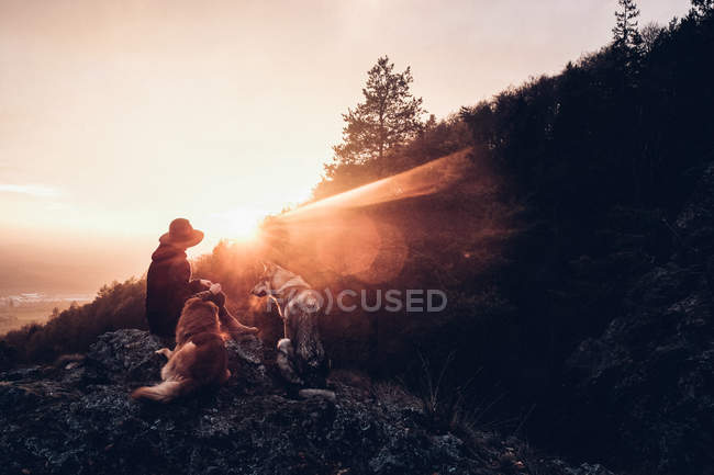 Человек с собаками, сидящими на скале — стоковое фото