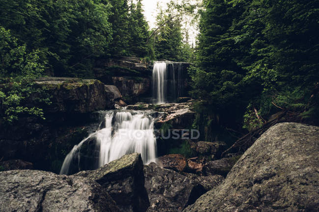 Cascada rocosa en el bosque - foto de stock