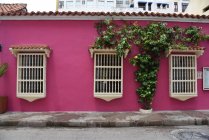Bâtiment rose avec grilles et fleurs sur les fenêtres — Photo de stock