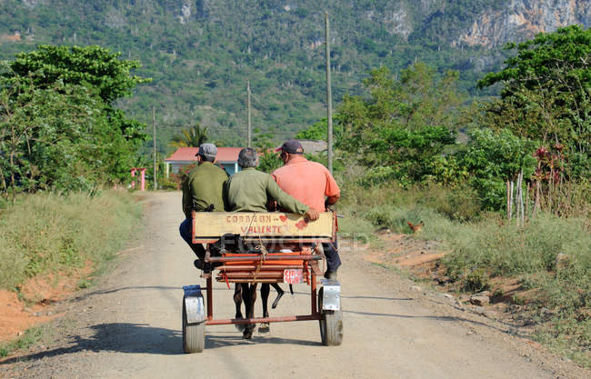 Tre uomini su carrozza trainata da cavalli — Foto stock