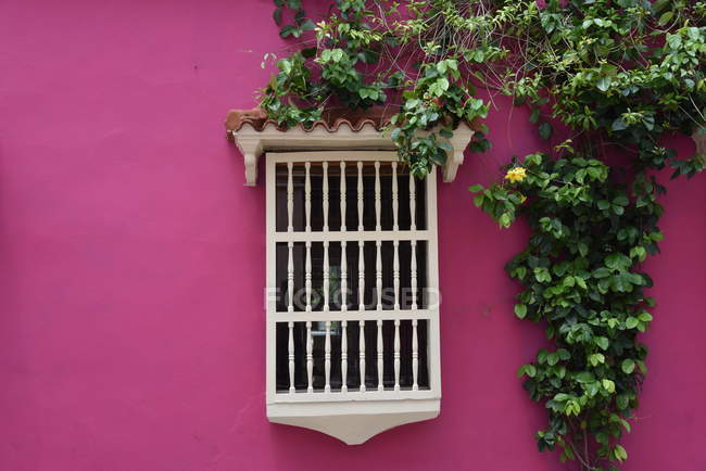 Bâtiment rose avec grille et fleurs sur la fenêtre — Photo de stock