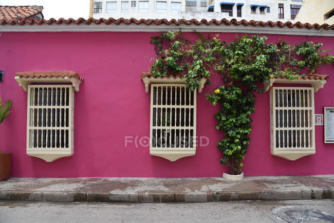 Edificio rosa con rejillas y flores en las ventanas - foto de stock