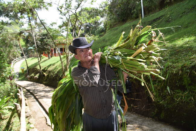 Farmer carrying plants and leaves — Stock Photo